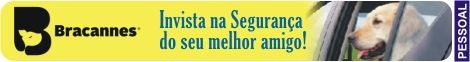 BRACANNES Cintos de SeguranÃ§a