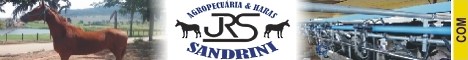 HARAS E AGROPECUÃRIA SANDRINI